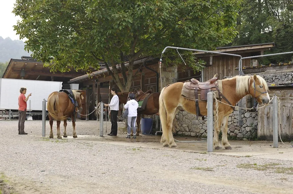 Appartamenti Lory Malcesine 0*,